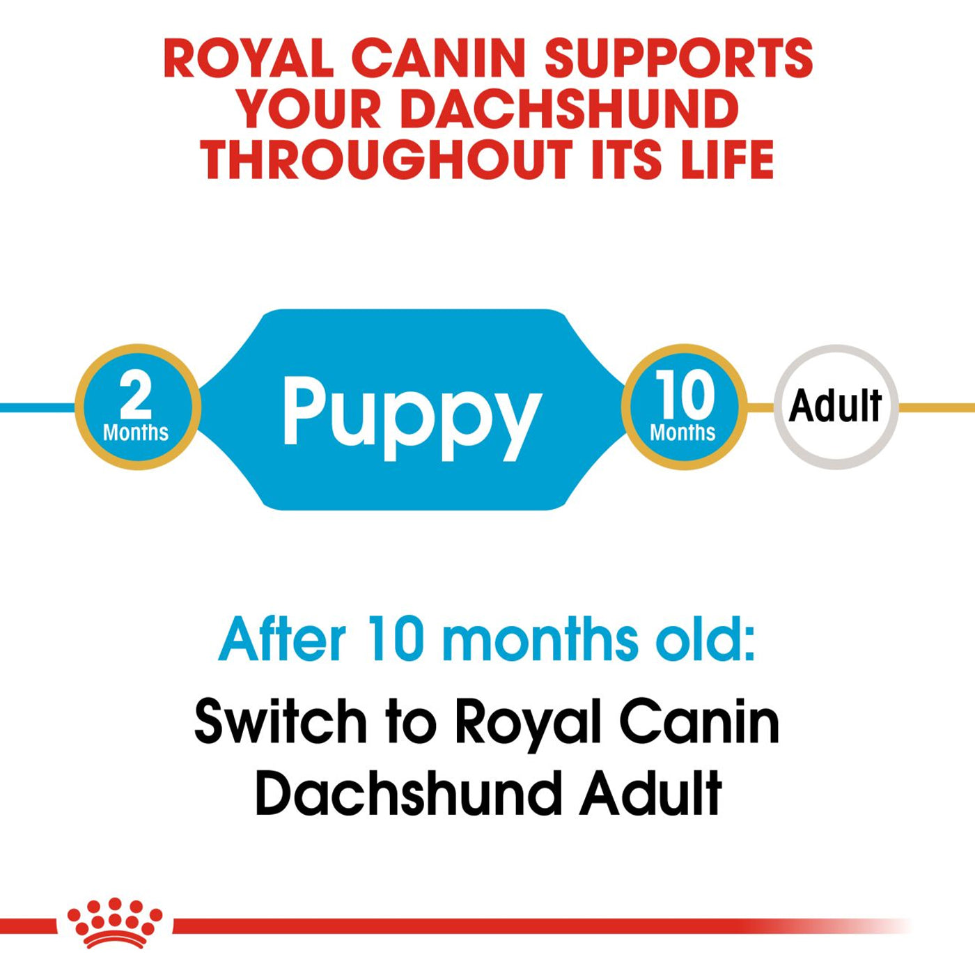Royal Canin Dachshund Dry Puppy Food 1.5KG