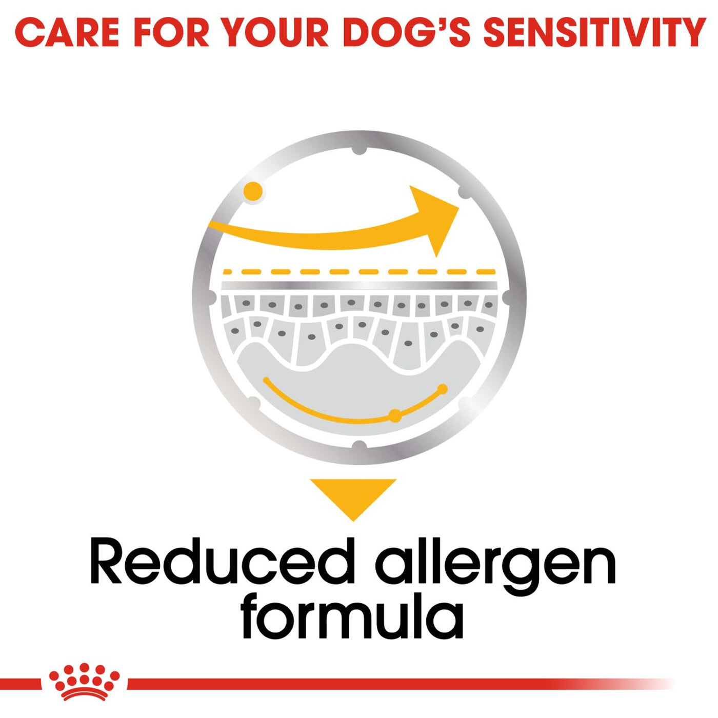 Royal Canin Derma Comfort Wet Adult Dog Food in Loaf (12 x 85g)