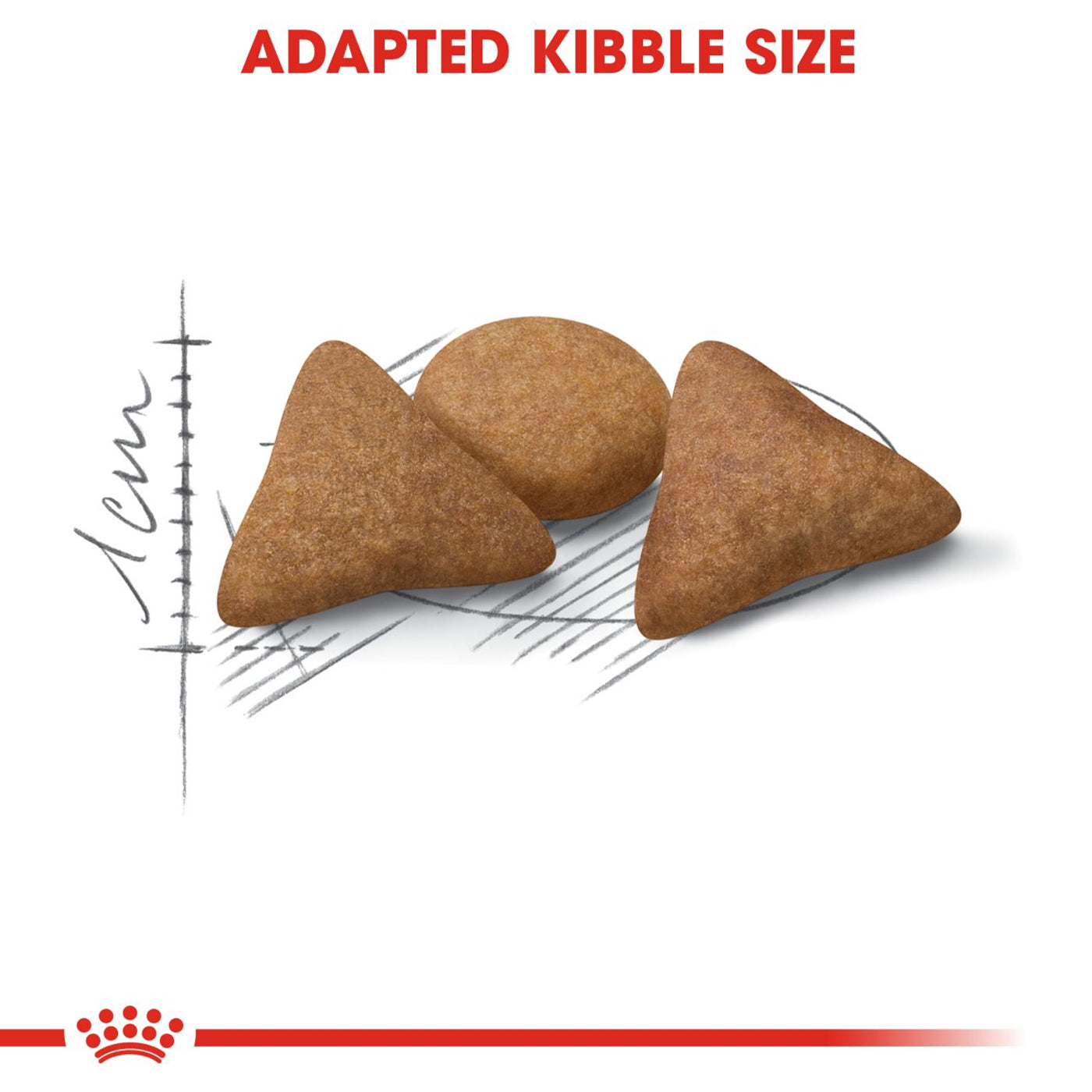 Royal Canin Indoor Appetite Control Cat Food 4KG