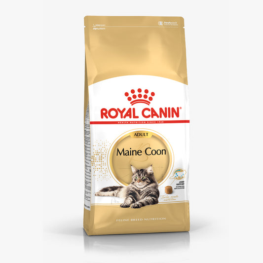 Royal Canin Maine Coon Cat Food
