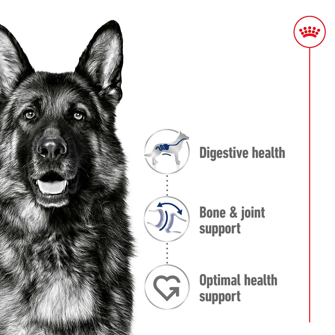 Royal Canin Maxi Adult Dog Food