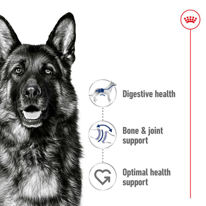 Royal Canin Maxi Adult Dog Food