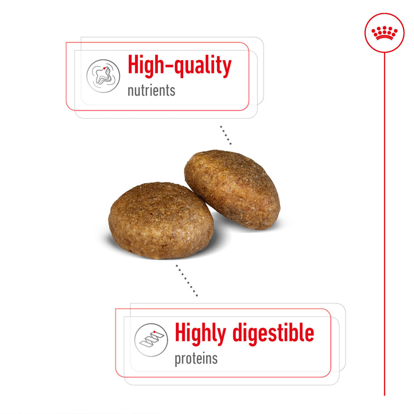 Royal Canin Maxi Adult Dog Food