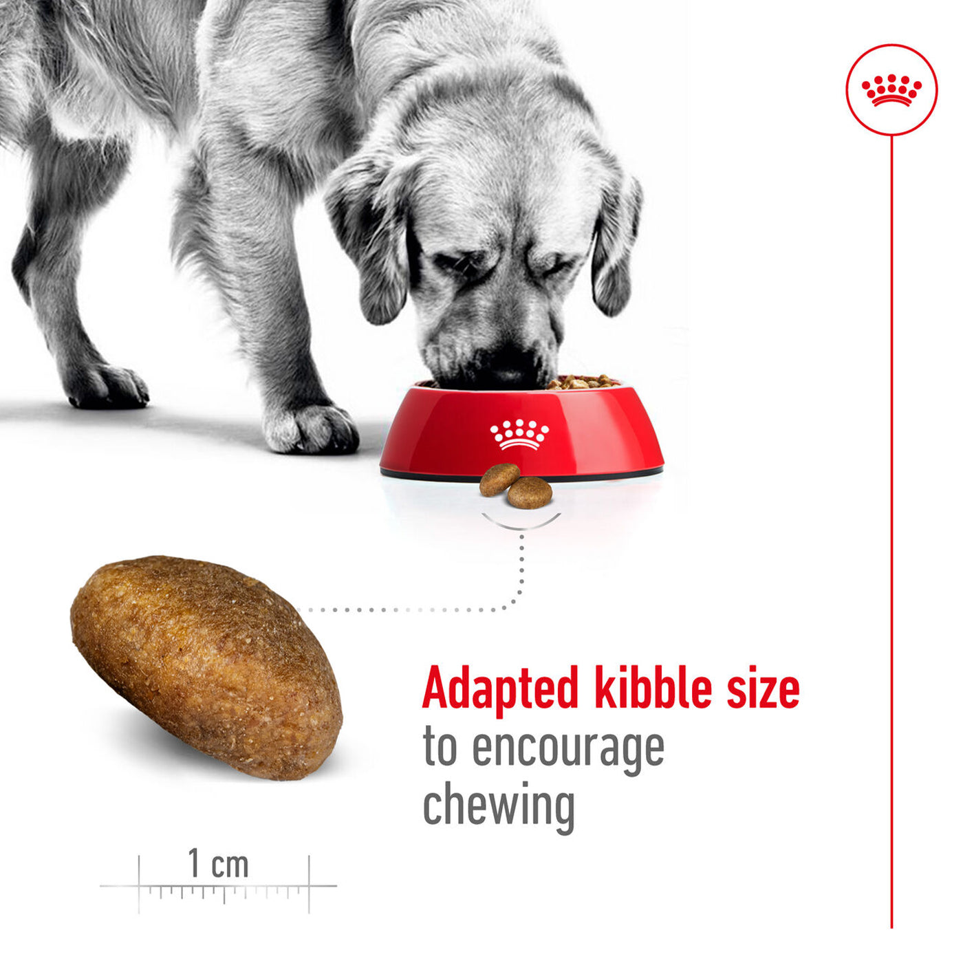 Royal Canin Maxi Adult Dog Food