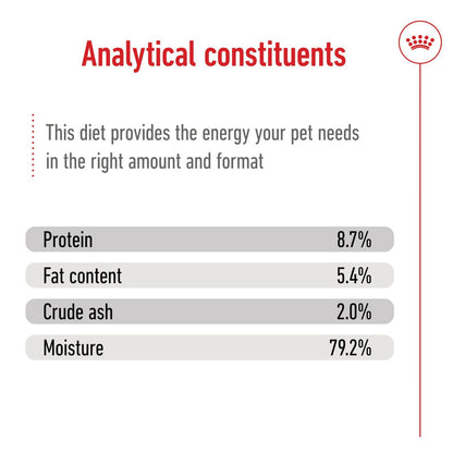 Royal Canin Maxi Breed Adult Wet Dog Food Loaf in Cans (12 x 410g)