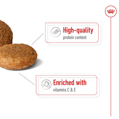 Royal Canin Medium Adult Dog Food