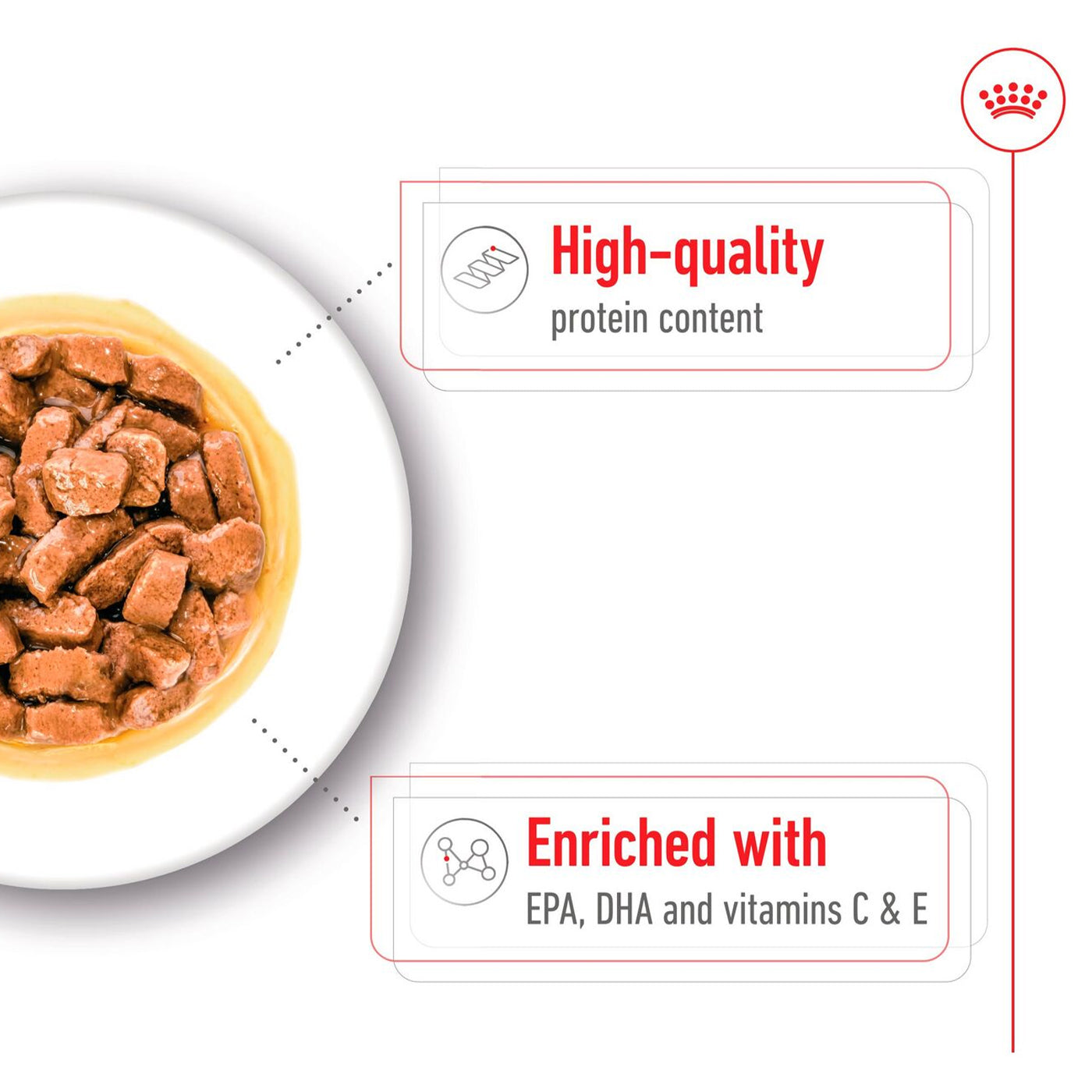 Royal Canin Medium Ageing 7+ Wet Dog Food (10 x 140g)