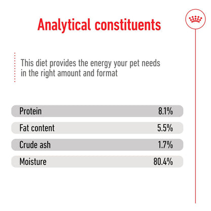 Royal Canin Medium Ageing 7+ Wet Dog Food (10 x 140g)