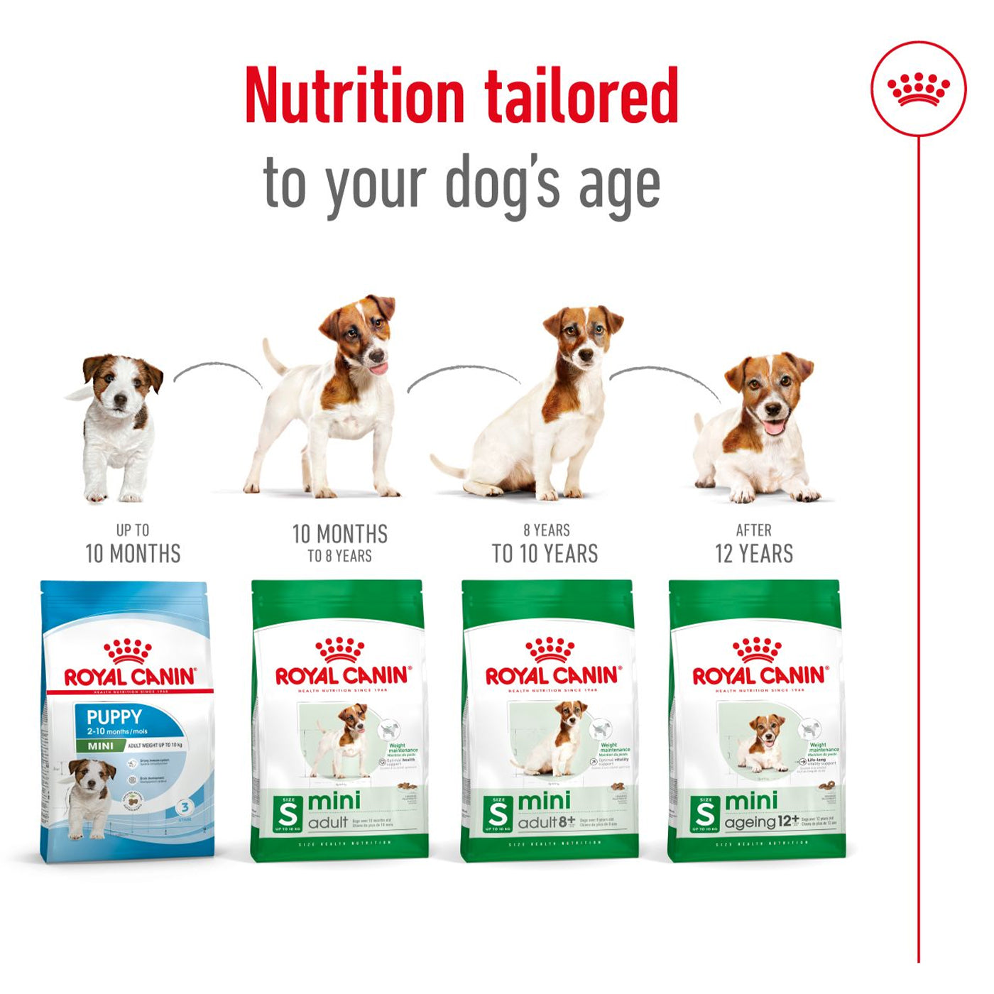 Royal Canin Mini Adult 8+ Dog Food 8KG