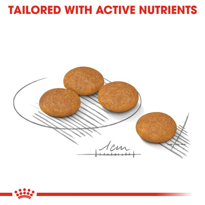 Royal Canin Mini Adult Derma Comfort Dog Food 3KG