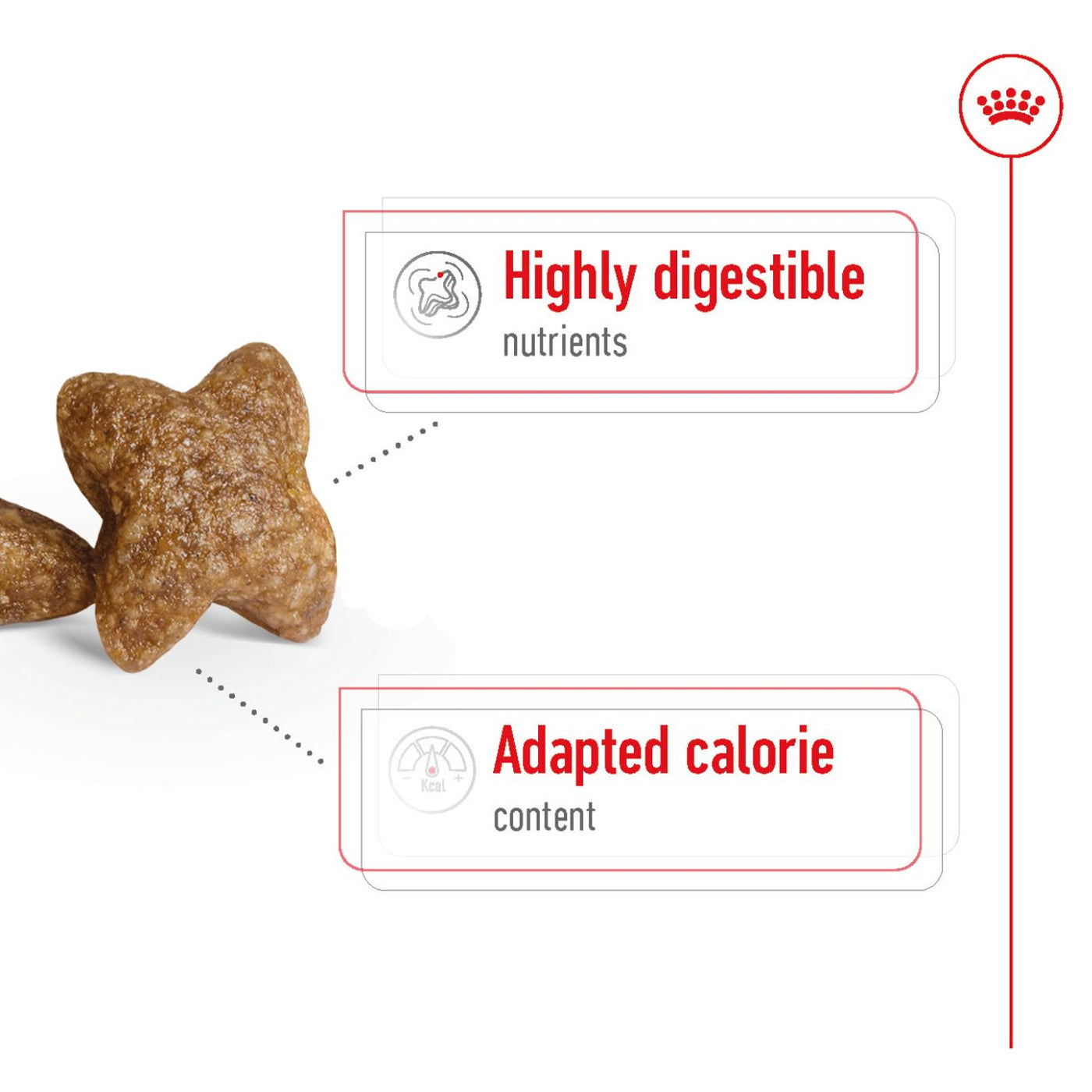 Royal Canin Mini Adult Dog Food