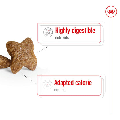 Royal Canin Mini Adult Dog Food