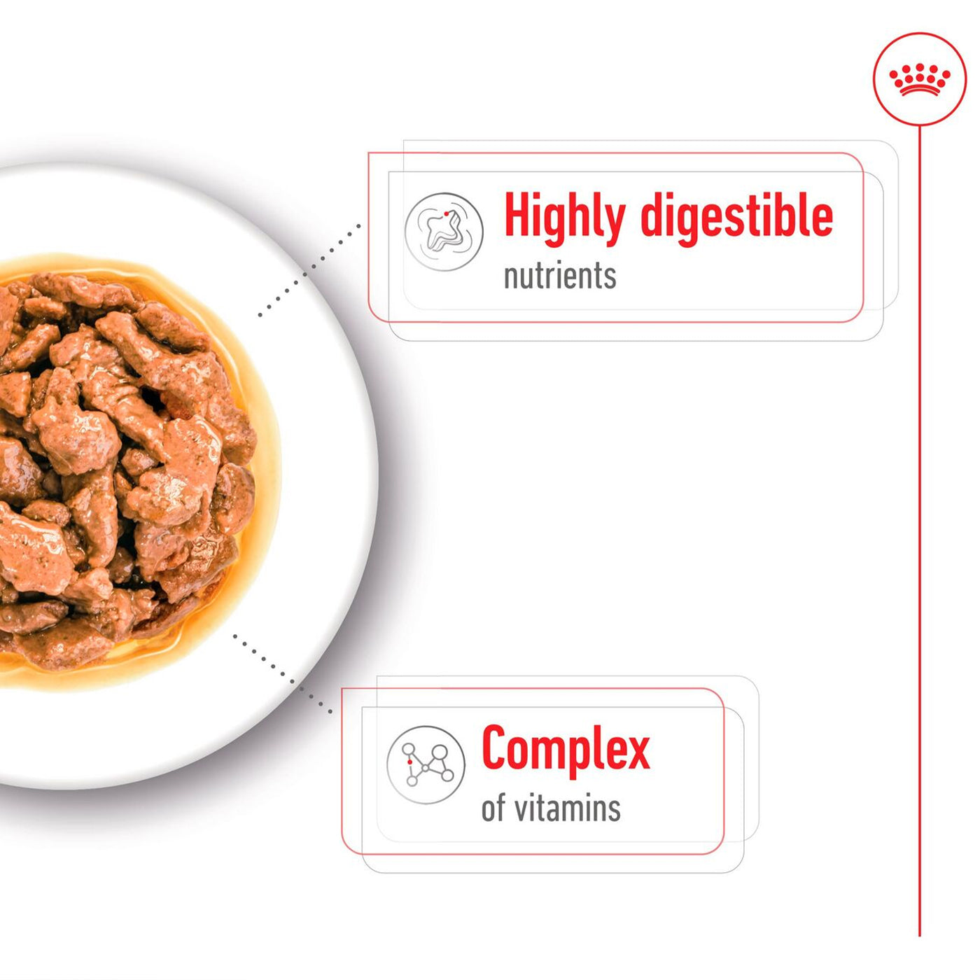 Royal Canin Mini Breed Adult Wet Dog Food  (12 x 85g)