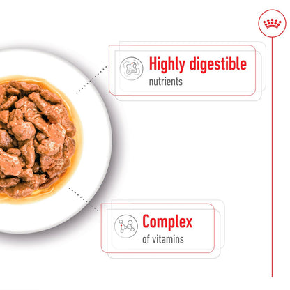 Royal Canin Mini Breed Adult Wet Dog Food  (12 x 85g)