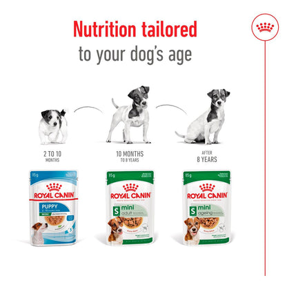 Royal Canin Mini Breed Adult Wet Dog Food  (12 x 85g)