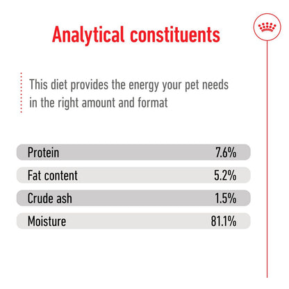 Royal Canin Mini Breed Adult Wet Dog Food  (12 x 85g)