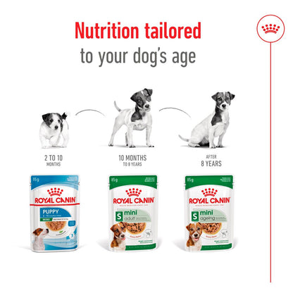Royal Canin Mini Ageing 8+ Wet Dog Food Chunks in Gravy (12 x 85g)