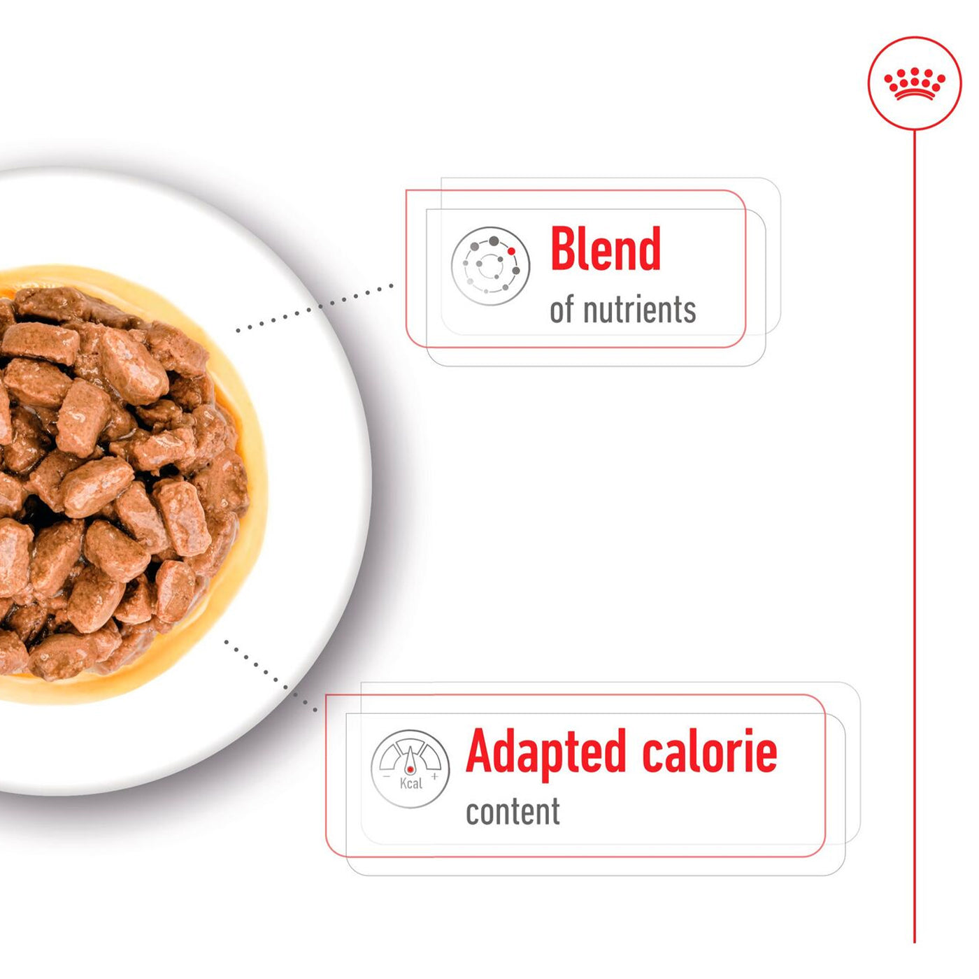 Royal Canin Mini Ageing 8+ Wet Dog Food Chunks in Gravy (12 x 85g)