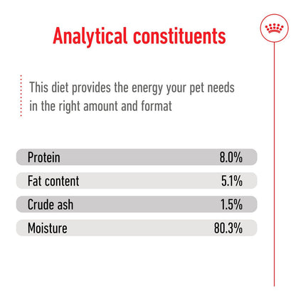 Royal Canin Mini Ageing 8+ Wet Dog Food Chunks in Gravy (12 x 85g)