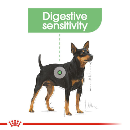 Royal Canin Mini Adult Digestive Care Dog Food 3KG