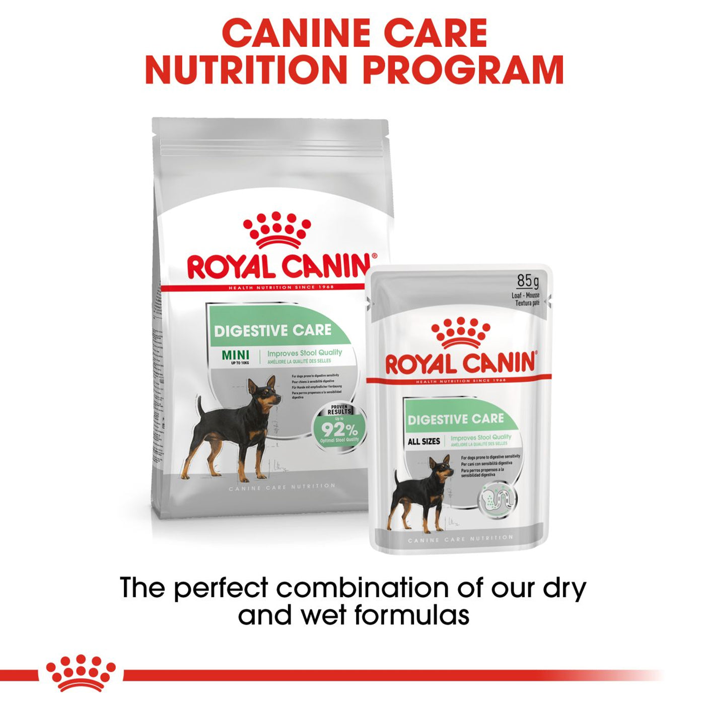 Royal Canin Mini Adult Digestive Care Dog Food 3KG