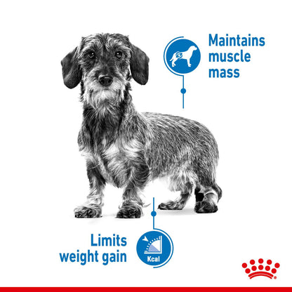 Royal Canin Mini Adult Light Weight Care Dog Food