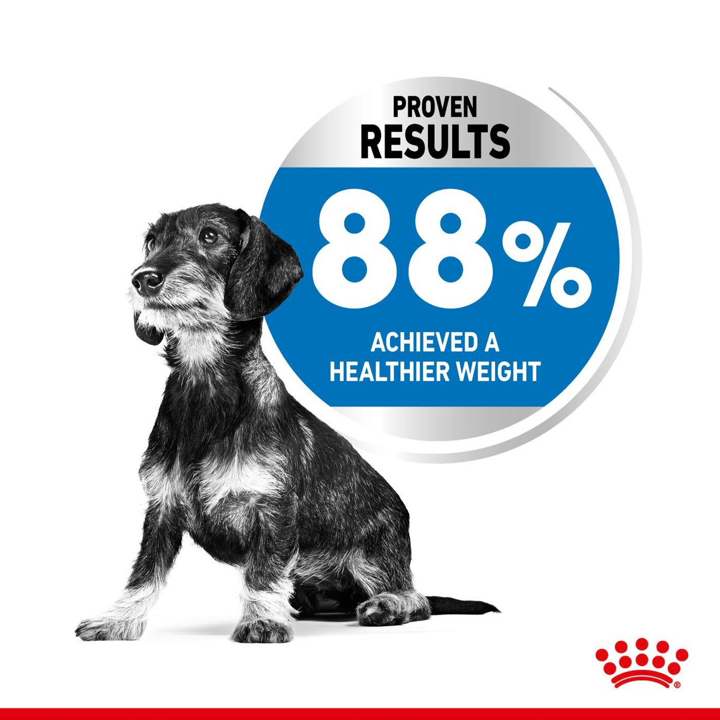Royal Canin Mini Adult Light Weight Care Dog Food