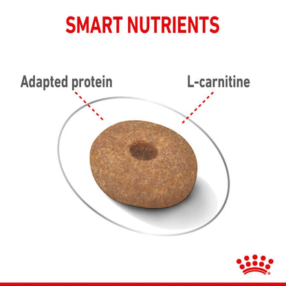 Royal Canin Mini Adult Light Weight Care Dog Food