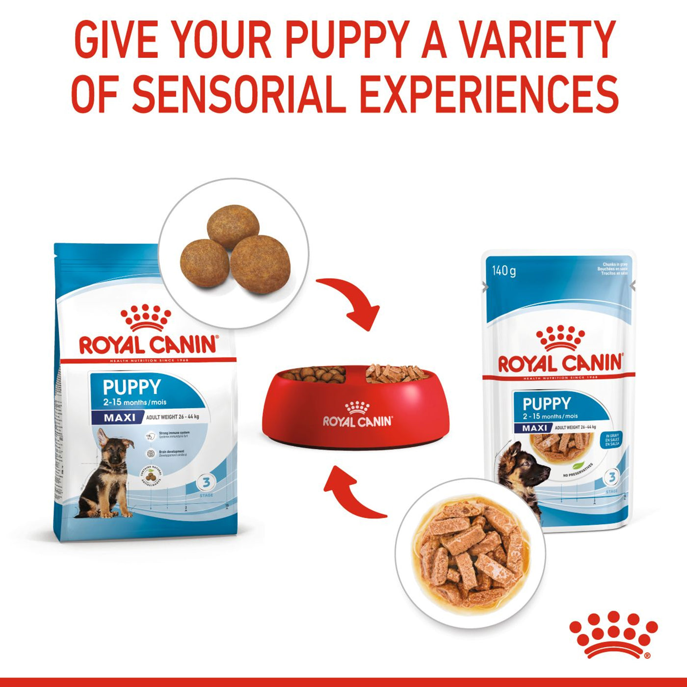 Royal Canin Maxi Puppy Food