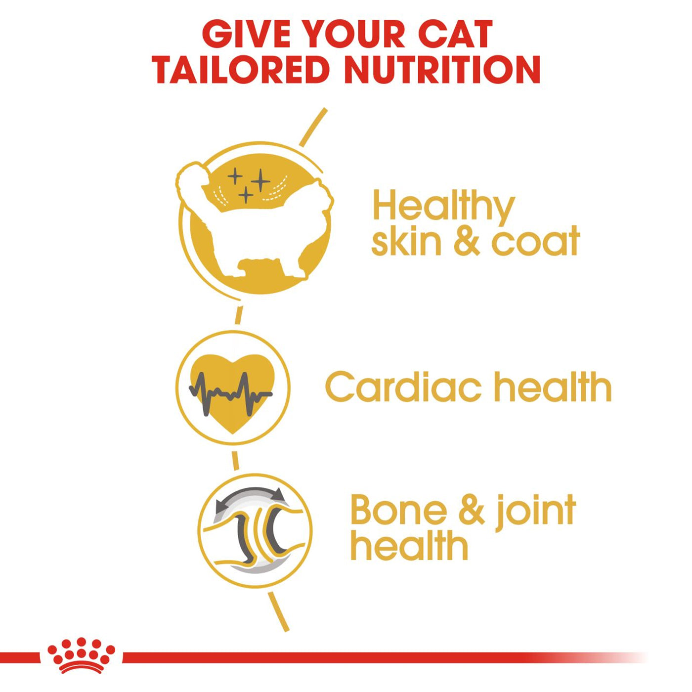 Royal Canin Ragdoll Cat Food 10KG