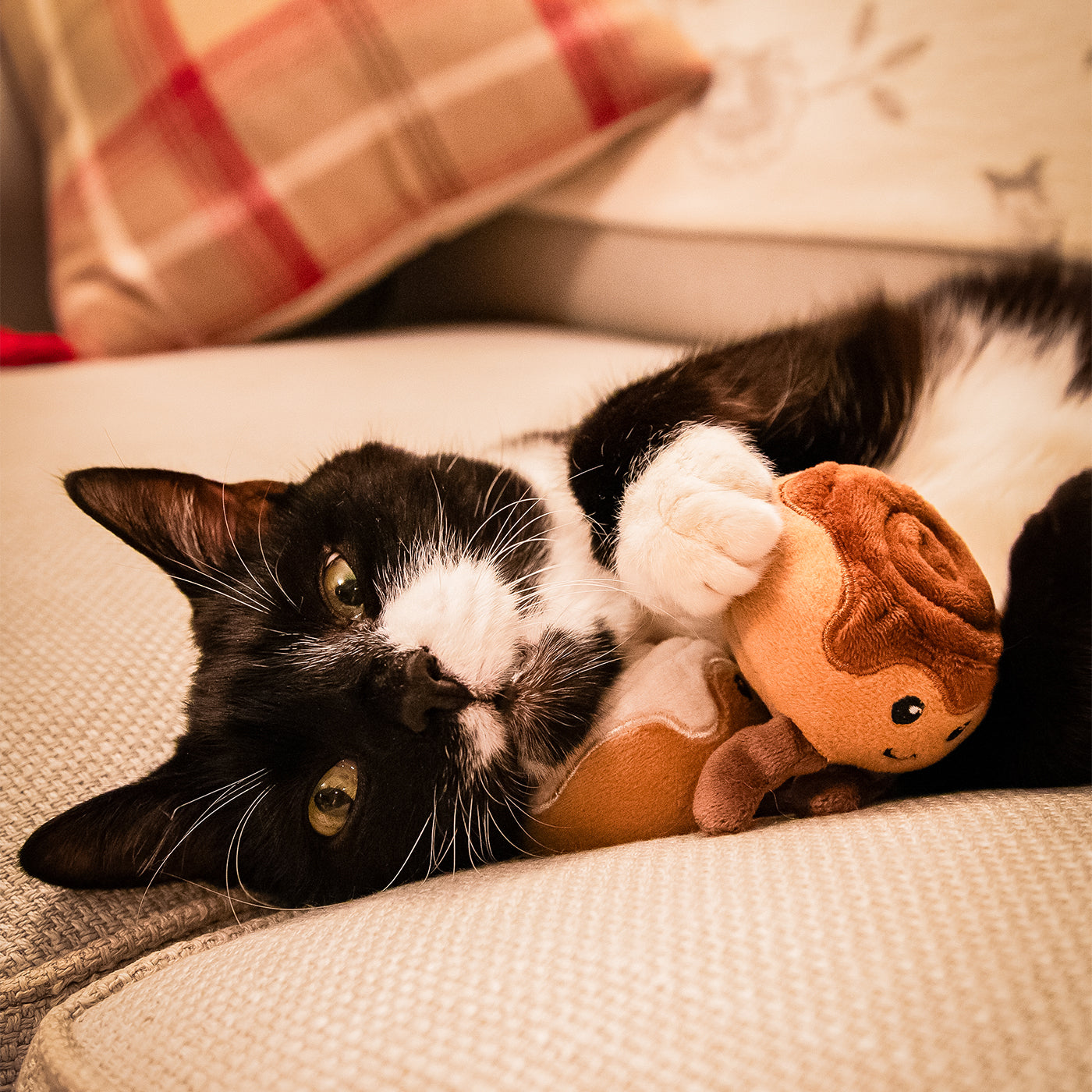 Rudy & Clarice Cinnamon Bun Duo Cat Toys