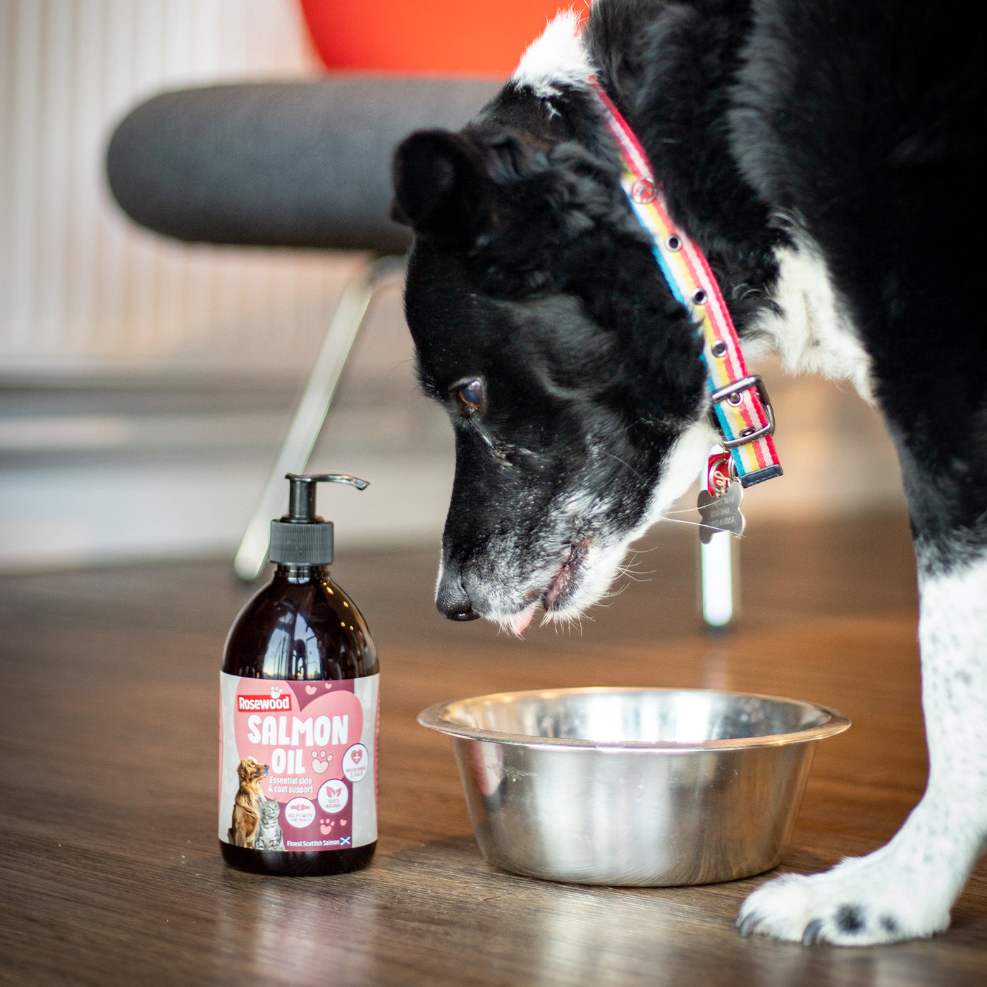 Supplements For Pets