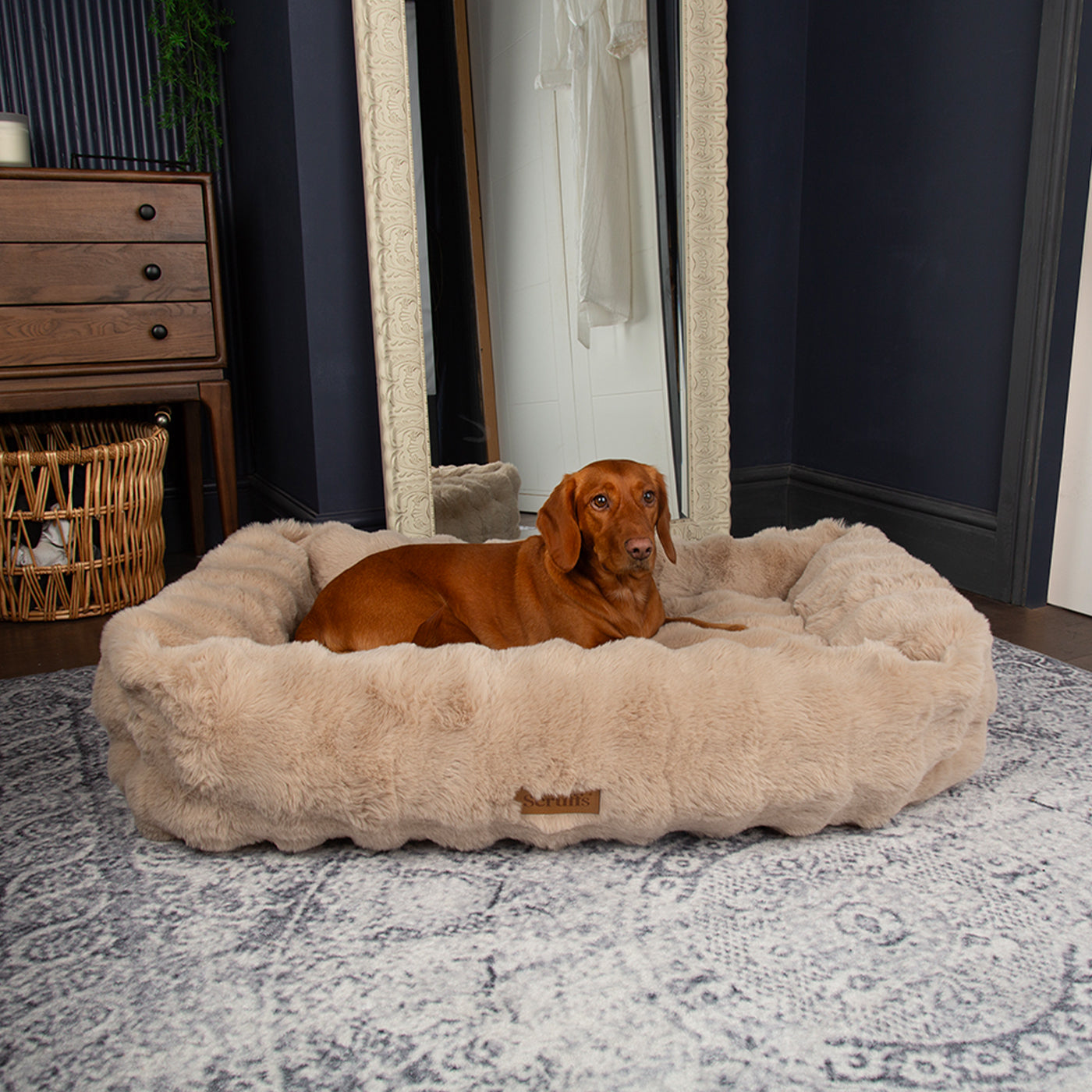Alpine Champagne Box Bed for Dogs | Scruffs Pet Bedding | Lords & Labradors