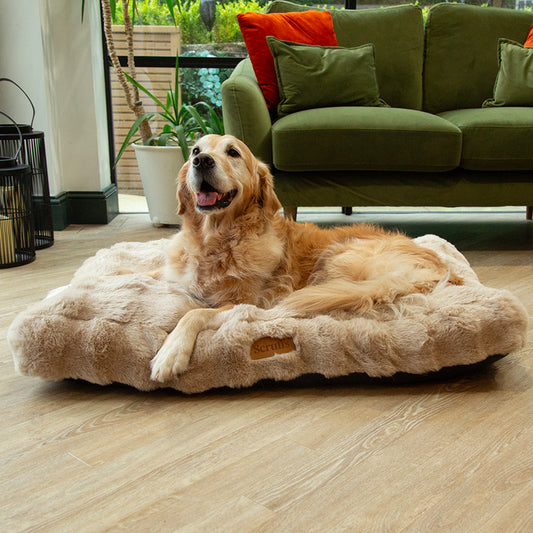 Scruffs Alpine Champagne Dog Mattress