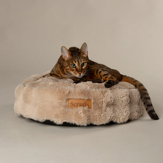 Scruffs Alpine Champagne Round Pet Cushion