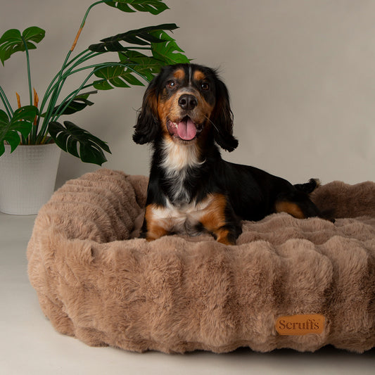 Scruffs Alpine Taupe Box Bed For Dogs