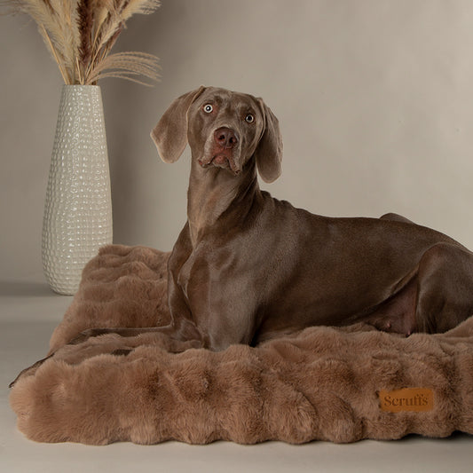 Scruffs Alpine Taupe Dog Mattress