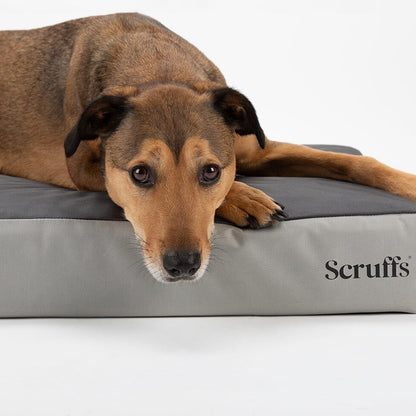 Scruffs ArmourDillo Orthopaedic Dog Bed