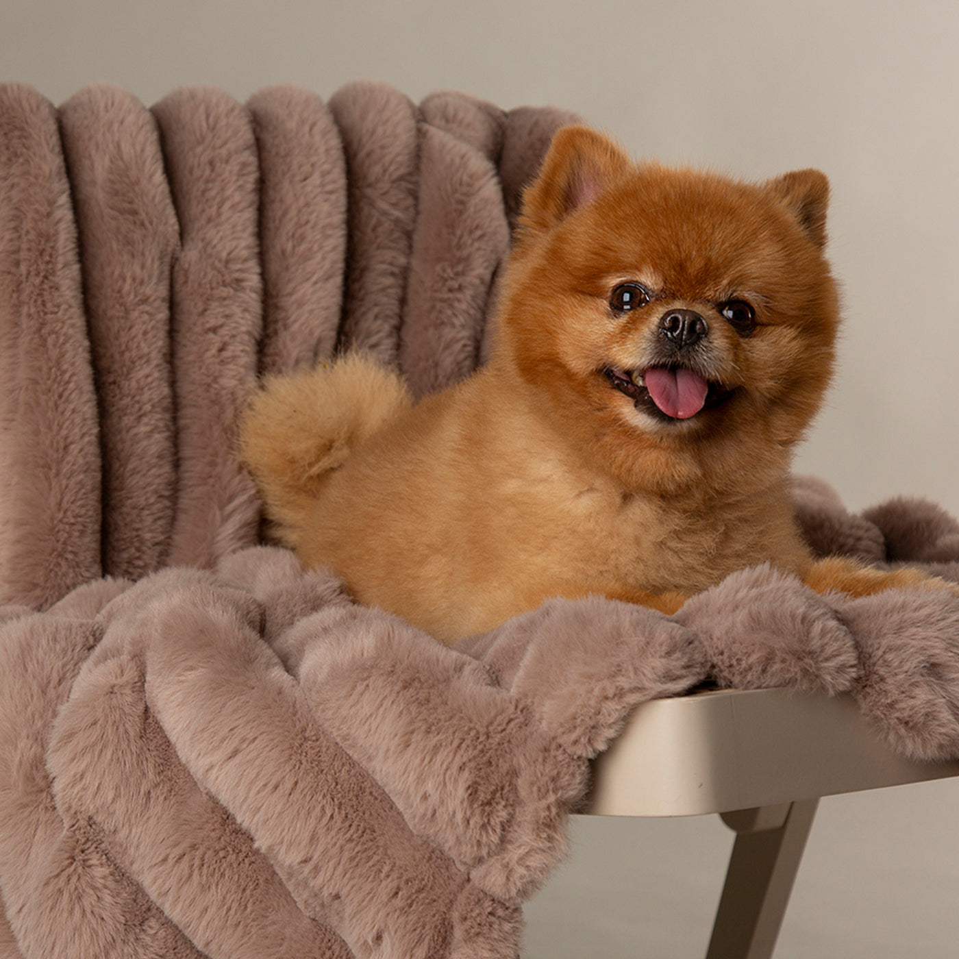 Scruffs Luxury Taupe Aspen Pet Blanket