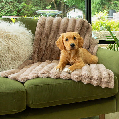 Scruffs Luxury Taupe Aspen Pet Blanket