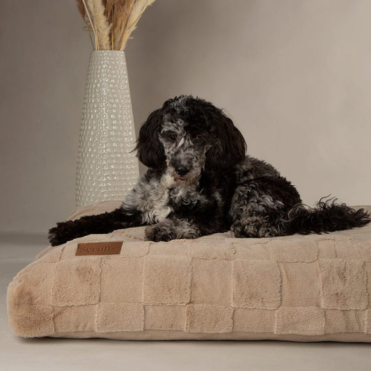 Scruffs Oxford Orthopaedic Camel Dog Mattress