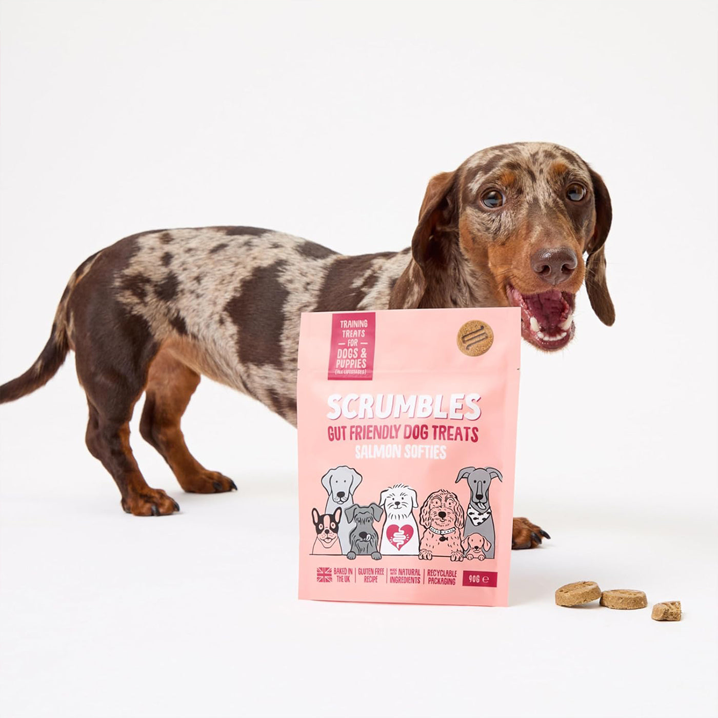 Scrumbles Softies Salmon Dog Training Treats 90g