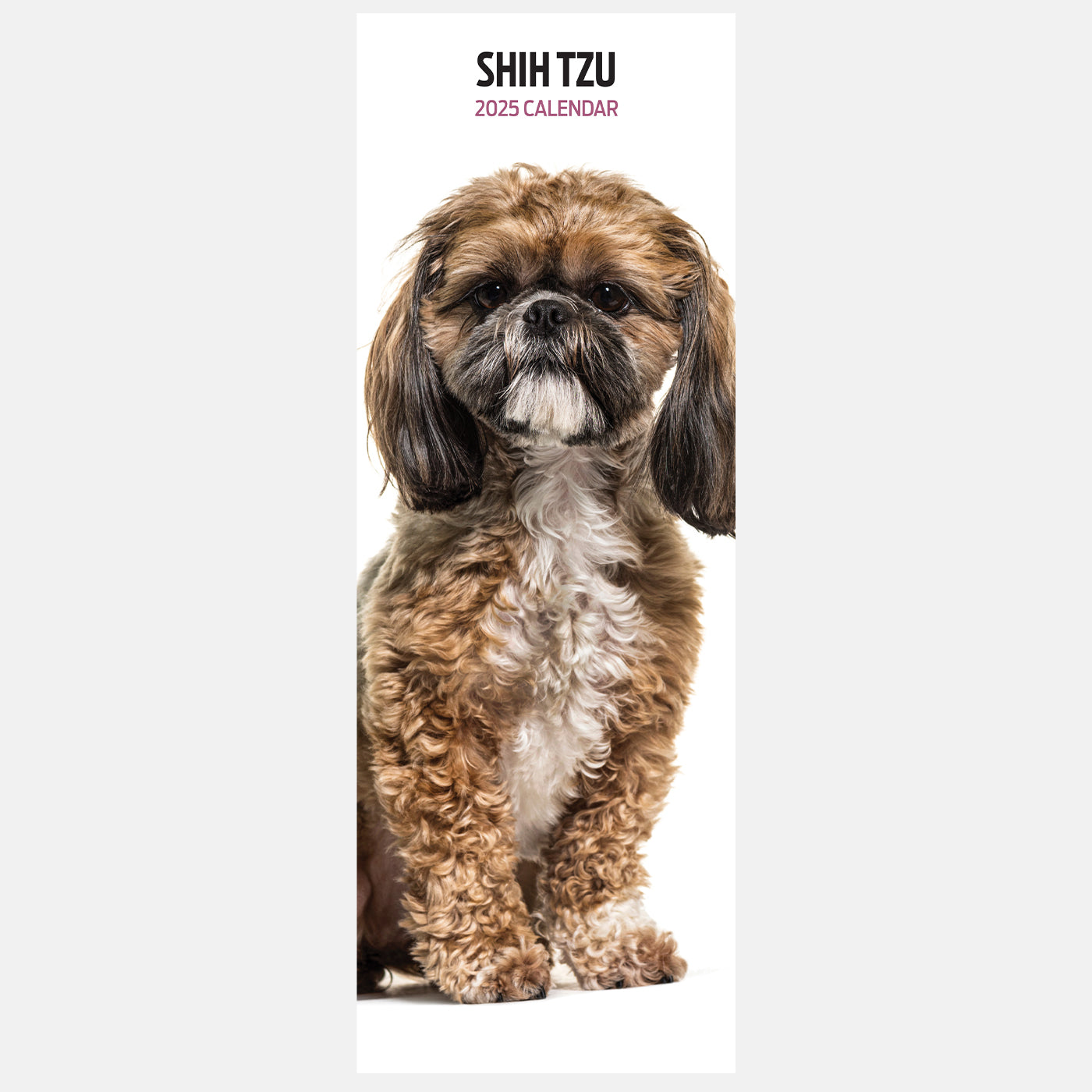 Shih Tzu Slim Calendar 2025 Lords Labradors shih-tzu-slim-calendar-2025-lords-labradors