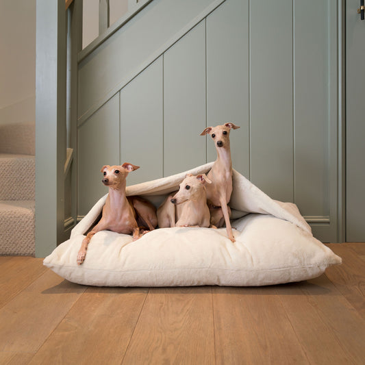 Discover The Perfect Burrow For Your Pet, Our Stunning Sleepy Burrow Dog Beds In Calming Anti Anxiety Cream Faux Fur, Is The Perfect Bed Choice For Your Pet, Available Now at Lords & Labradors 
