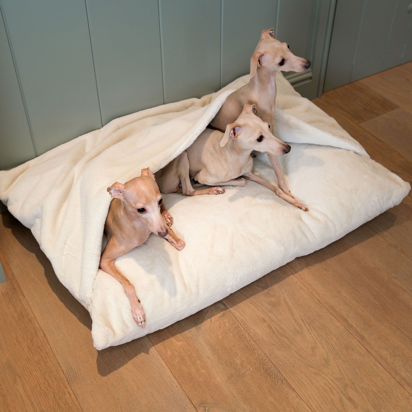 Discover The Perfect Burrow For Your Pet, Our Stunning Sleepy Burrow Dog Beds In Calming Anti Anxiety Cream Faux Fur, Is The Perfect Bed Choice For Your Pet, Available Now at Lords & Labradors 