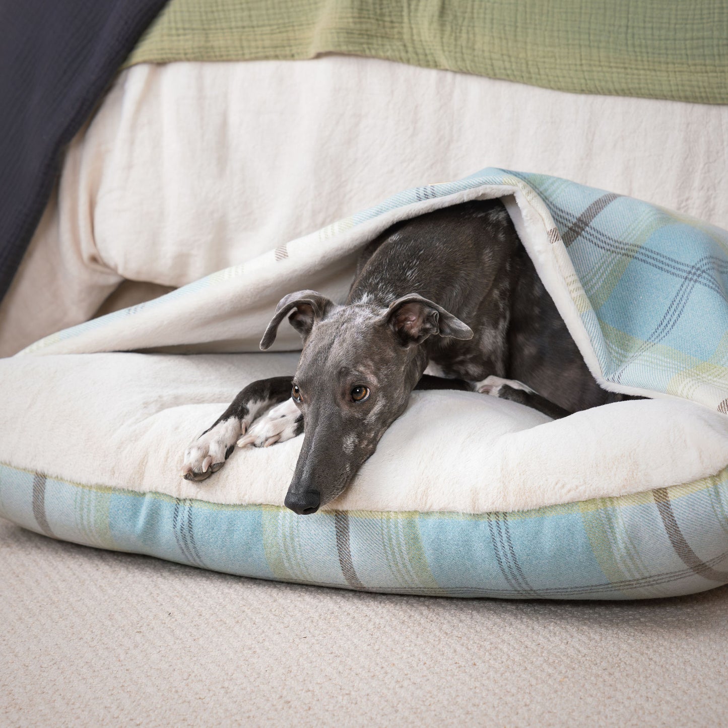 Discover The Perfect Burrow For Your Pet, Our Stunning Sleepy Burrow Dog Beds In Duck Egg Tweed Is The Perfect Bed Choice For Your Pet, Available Now at Lords & Labradors