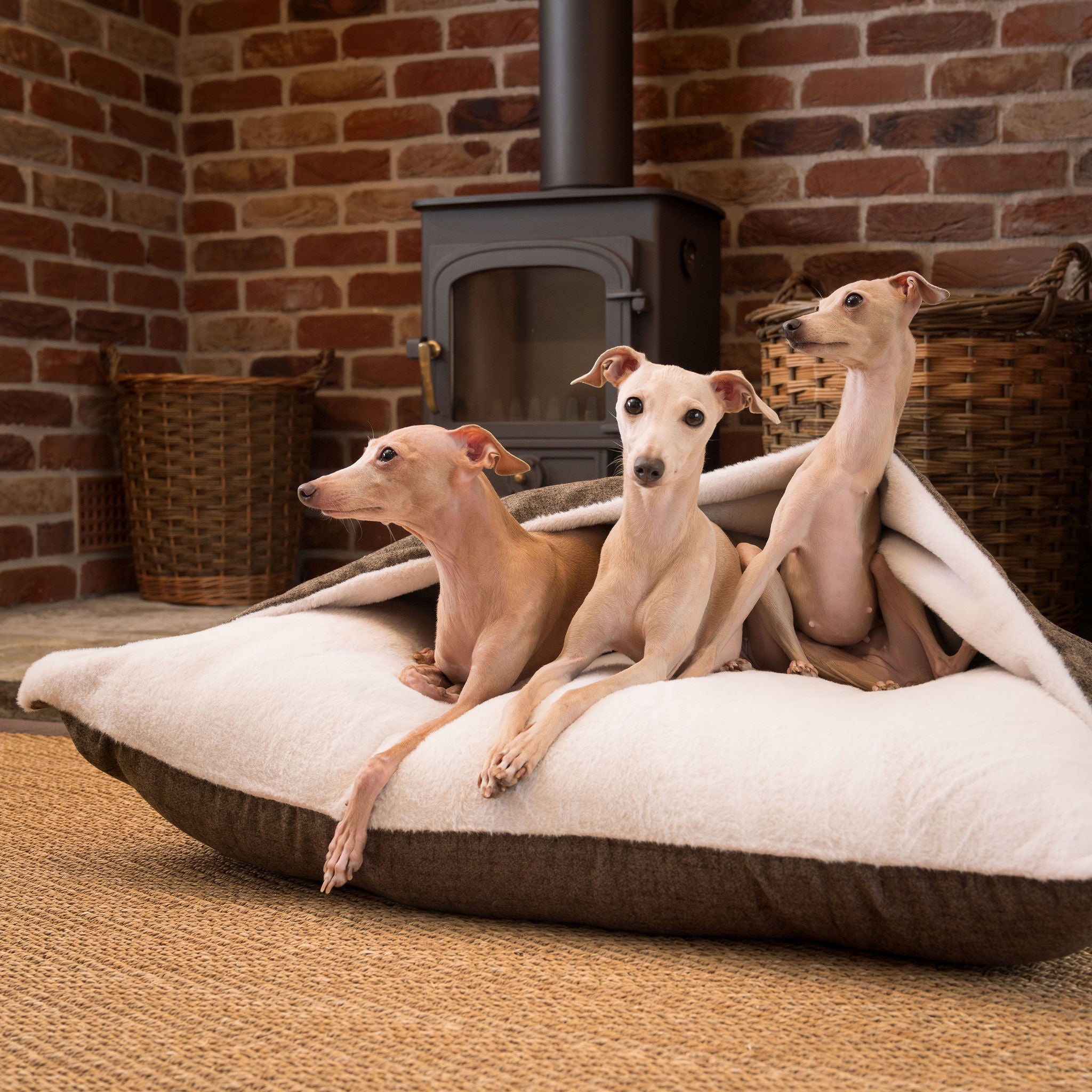 Lord Burrows Inchmurrin Sleepy Burrows In Umber | Hooded Dog Bed | Lords & Labradors