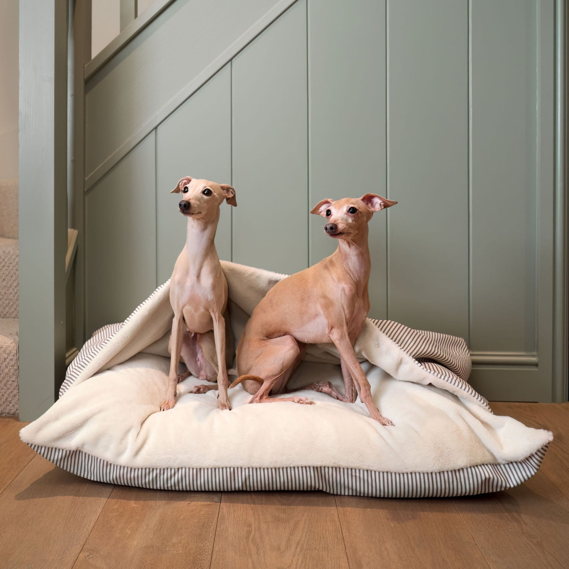 Discover The Perfect Burrow For Your Pet, Our Stunning Sleepy Burrow Dog Beds In Regency Stripe, Is The Perfect Bed Choice For Your Pet, Available Now at Lords & Labradors