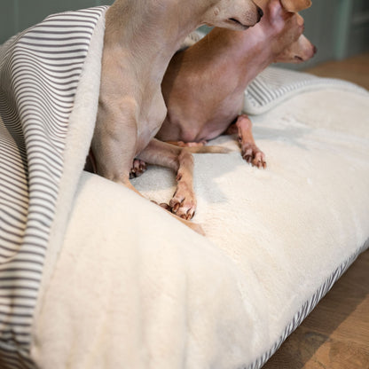 Discover The Perfect Burrow For Your Pet, Our Stunning Sleepy Burrow Dog Beds In Regency Stripe, Is The Perfect Bed Choice For Your Pet, Available Now at Lords & Labradors