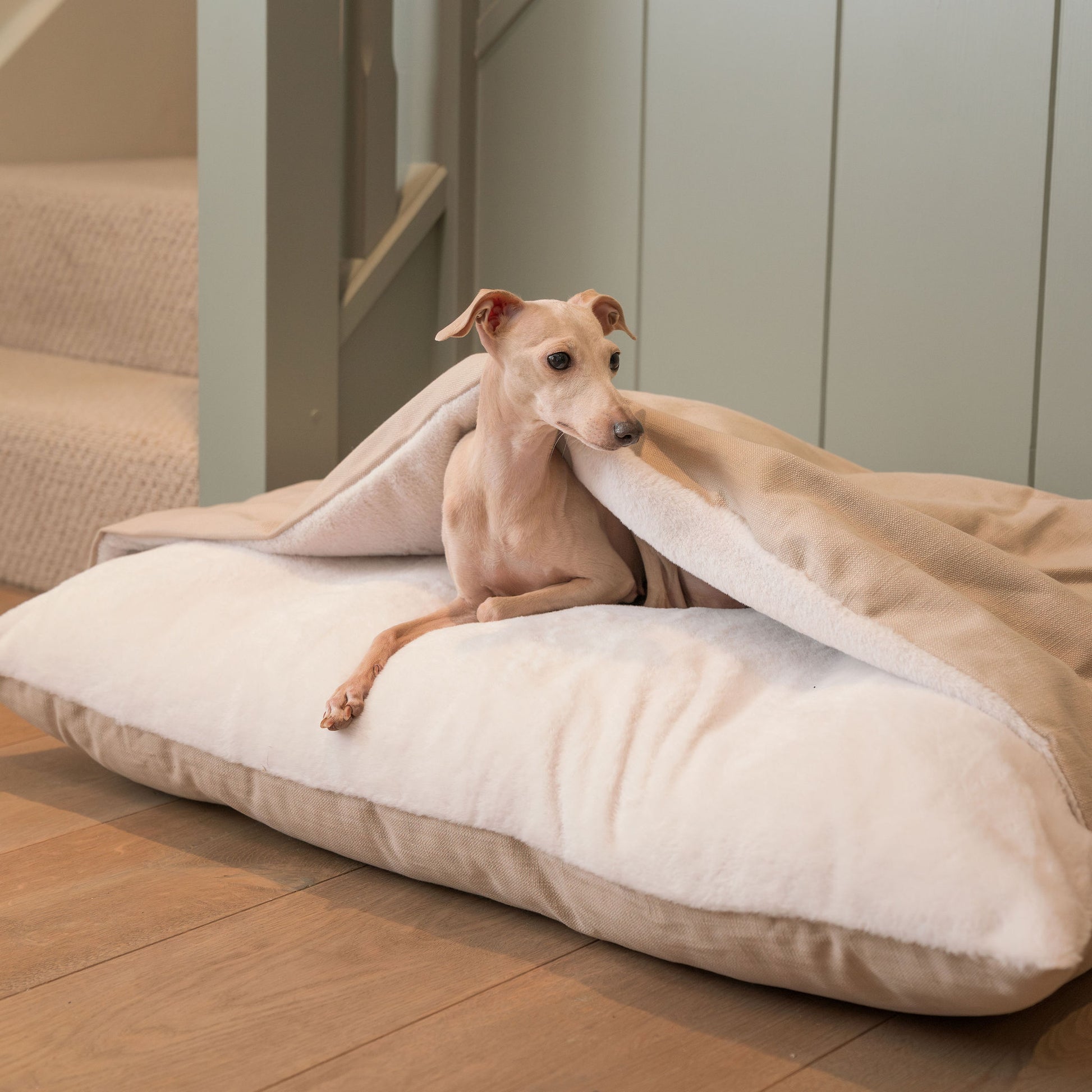 Luxury Savanna Sleepy Burrow, The Perfect bed For a Pet to Burrow. Available To Personalise In Stunning Savanna Oatmeal, Here at Lords & Labradors